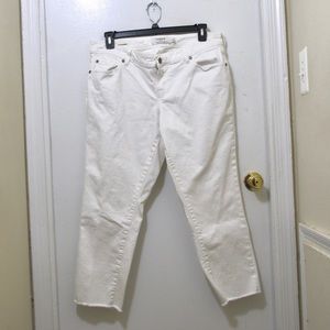 Torrid white denim jeans pants size plus 16